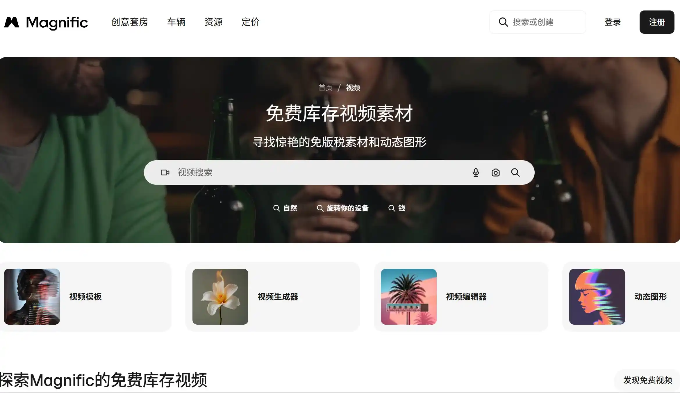Magnific视频素材官方网站首页示例图展示