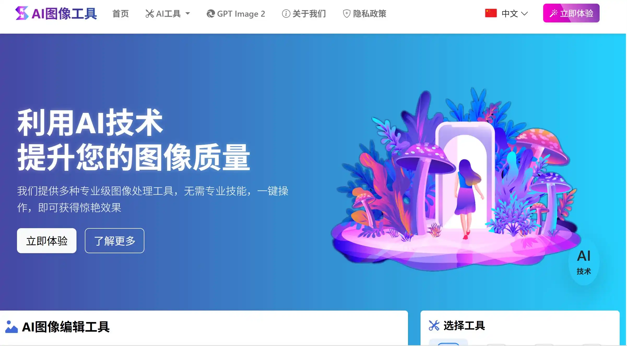图片编辑器AI Image Editor官方网站首页示例图展示
